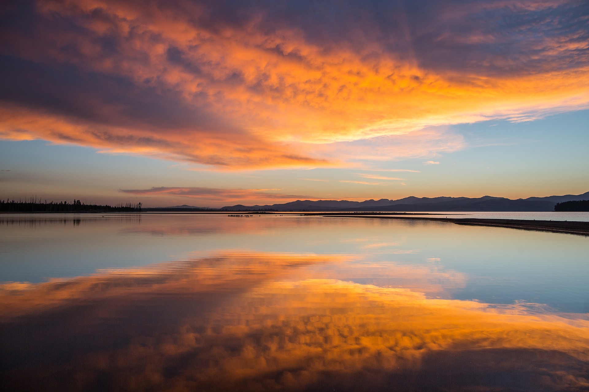 Yellowstone Lake. yellowstone, national park, lake