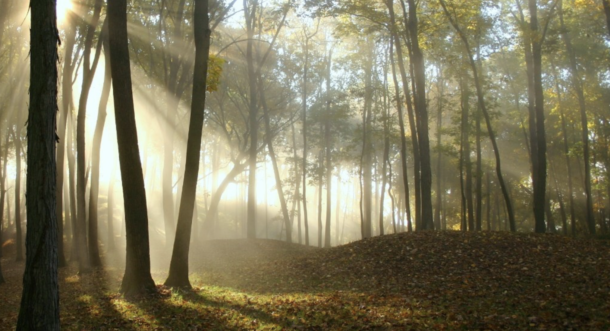 Earthen burial mounds photographed just after dawn / NPS