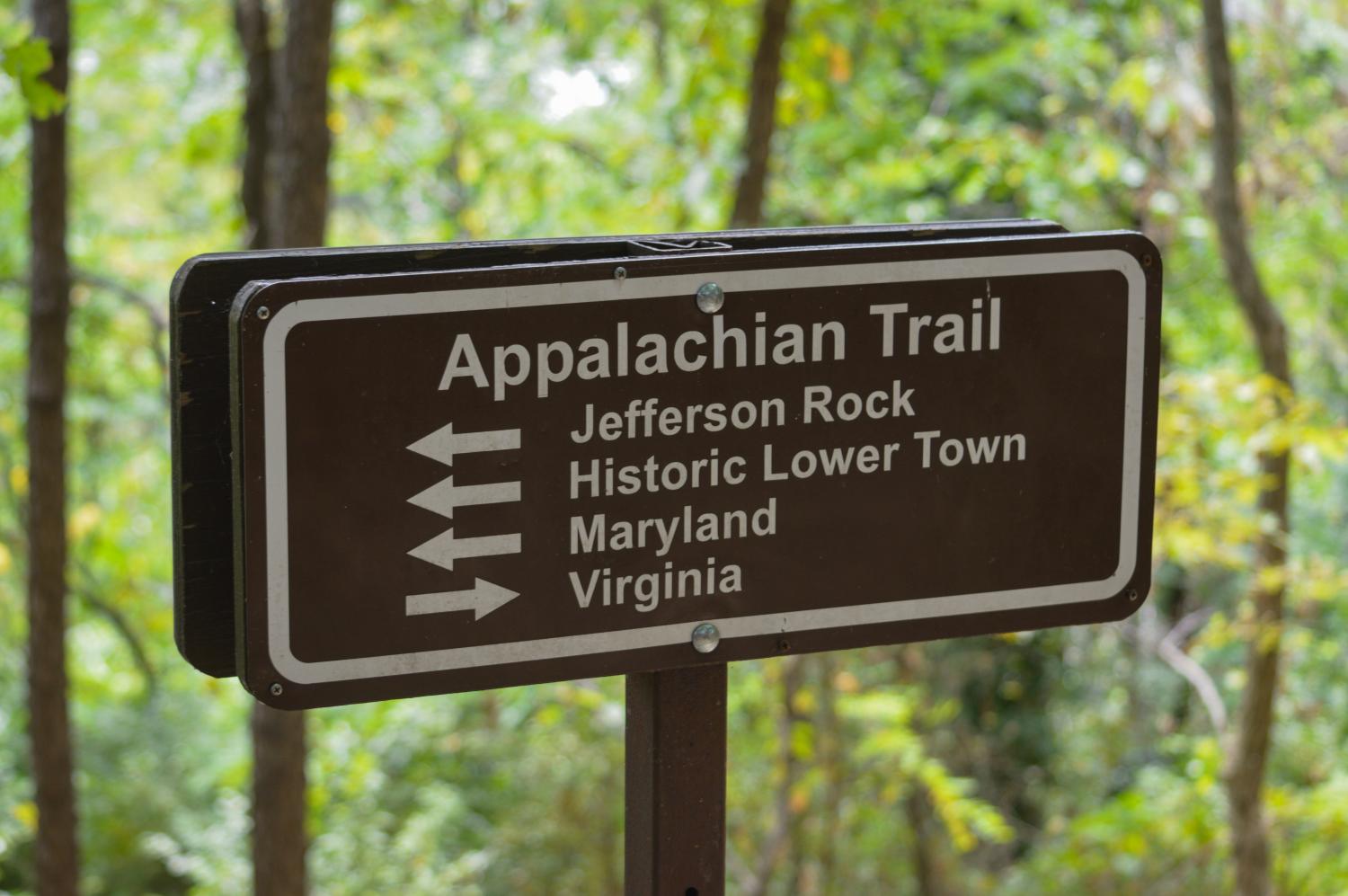 Appalachian Trail Sign A wooden sign to guide hikers stands in front of a stand of trees.