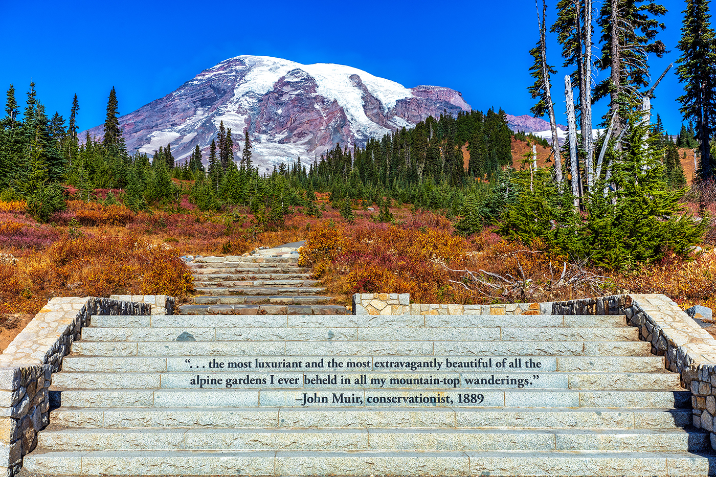 Nationwide Parks Traveler’s Checklist For Mount Rainier Countrywide Park