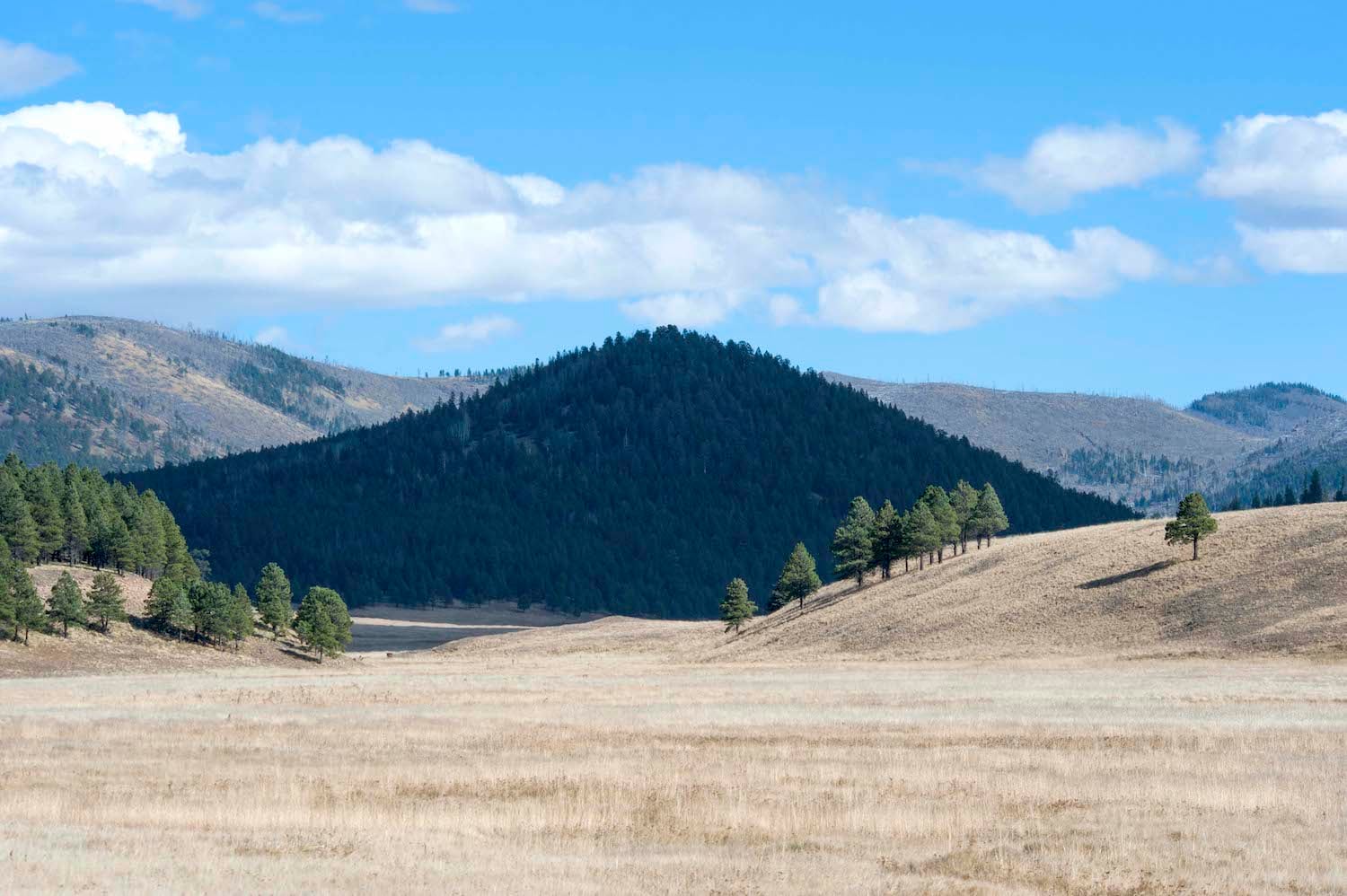 Valles Caldera National Preserve/Patrick Cone Valles Caldera National Preserve/Patrick Cone