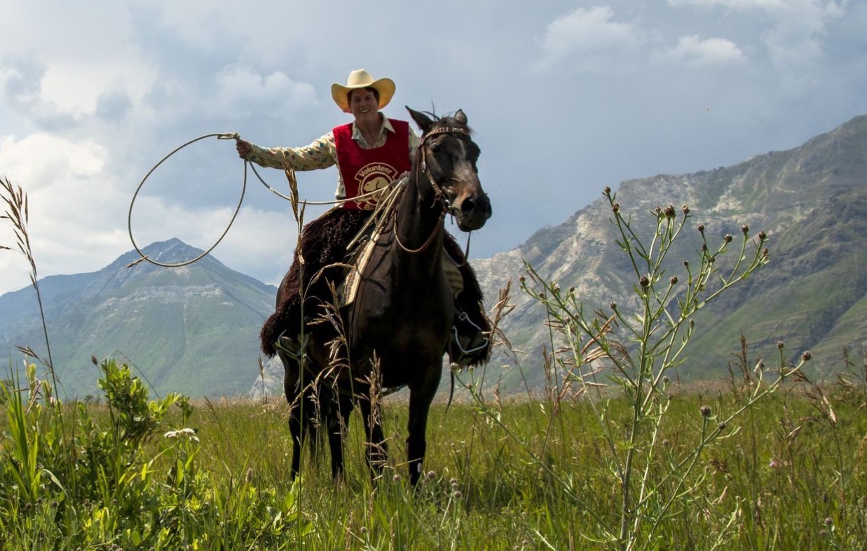 New Date For Waterton Lake National Park's Knapweed Rodeo