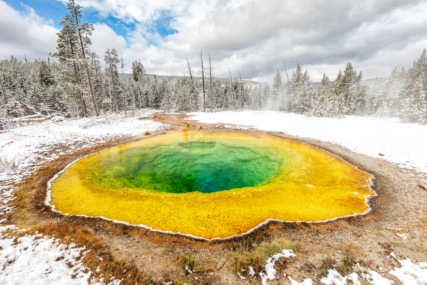 Report Predicts Drastic Change In Yellowstone National Park's Climate - National Parks Traveler