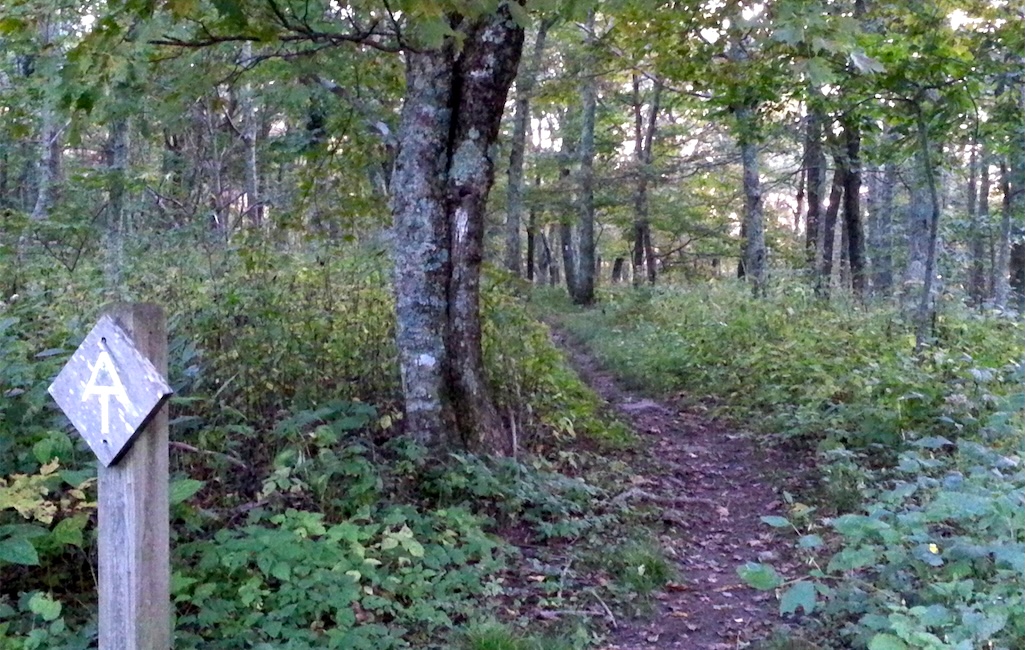 The head of the Appalachian Trail Conservancy is calling for a quick end to the government shutdown/USFS