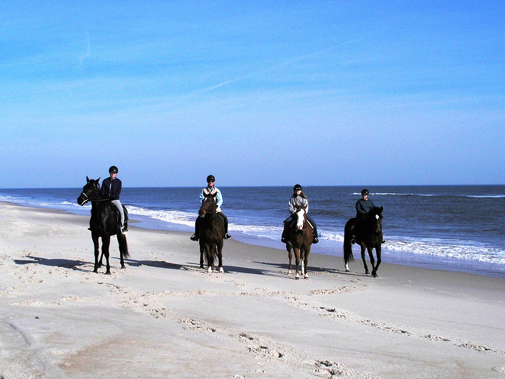 If you have your own horse, bring it for a bracing ride along the beach, Assateague Island National Seashore / NPS file