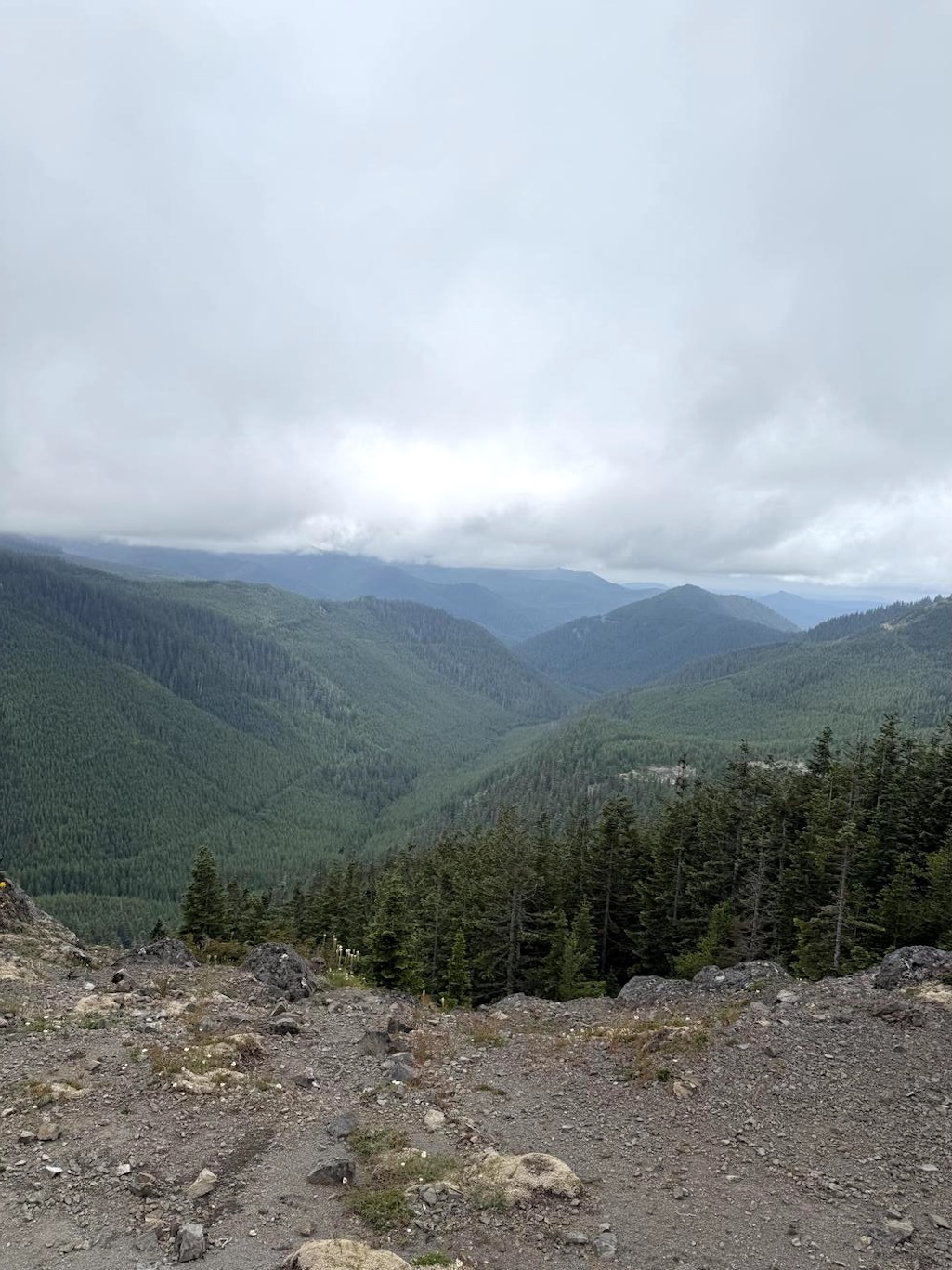 The top of Bare Mountain (foreground) looking towards the southwest. Bare Mountain has two components: a pre-glacial (older than