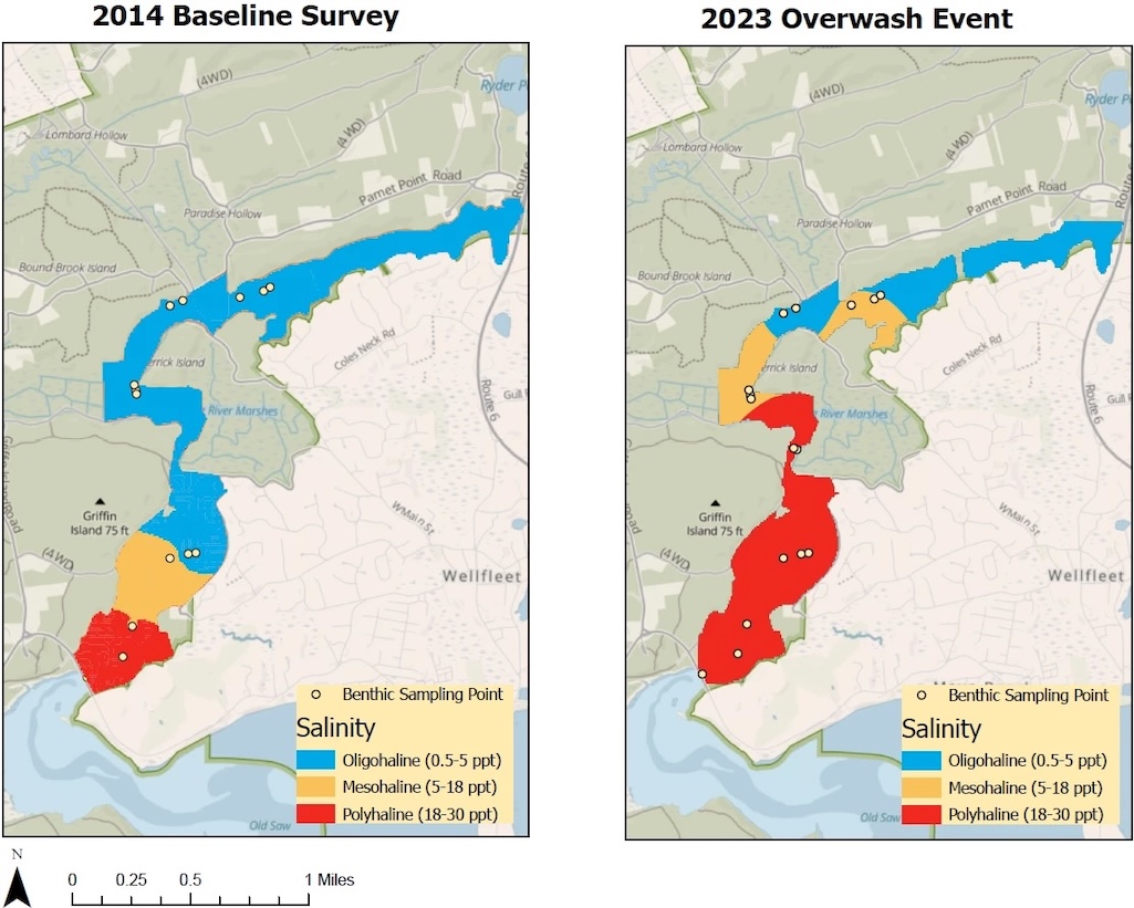 Salinity gradient maps of the Herring River in Duck Harbor, showing 15 macroinvertebrate sampling locations. The salinity in the