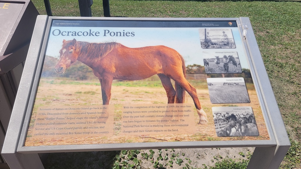 Should the National Park Service remove the words "sea-level rise" from this placard at Cape Hatteras National Seashore/Kim O';