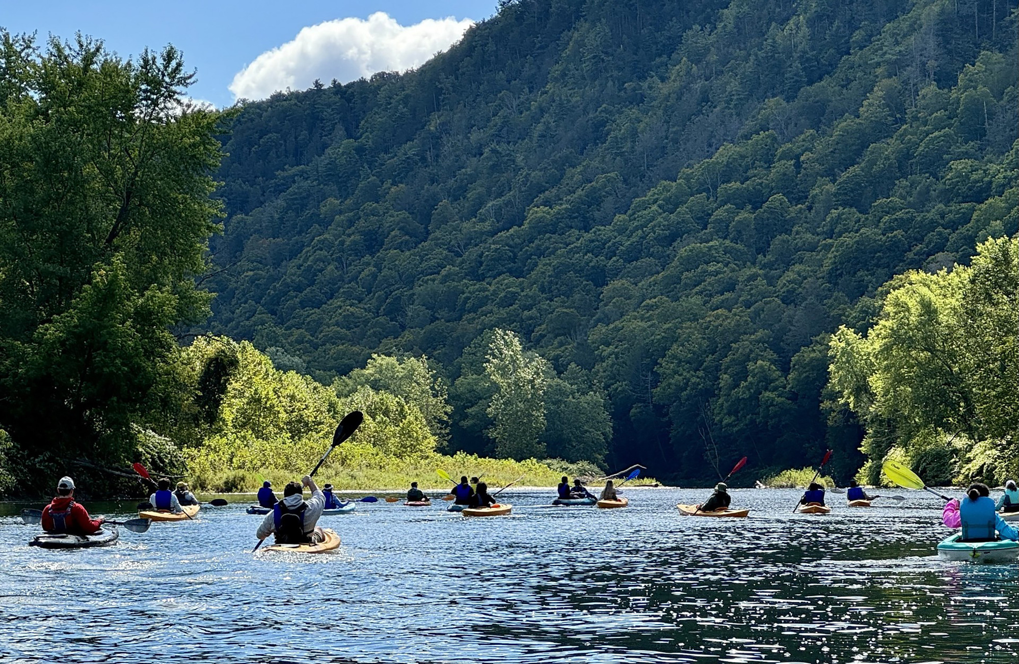 A group of kayakers paddling on a river with lush green trees and a forested hillside in the background.