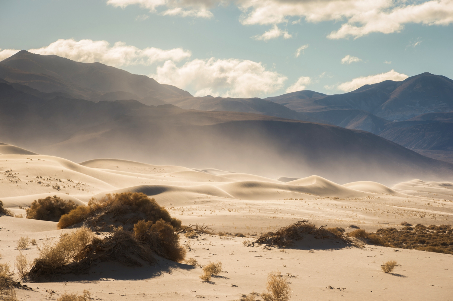 Sand dunes in sunlight, with desert plants in the foreground and mountains in the background and a partly cloudy sky.