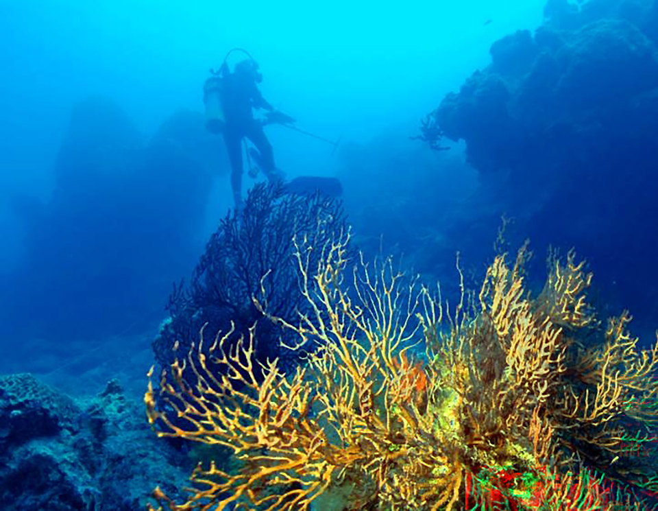 Diving a part of the Florida Reef, Dry Tortugas National Park / NPS file