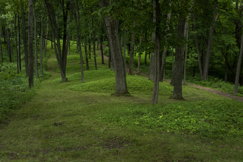 Conical mounds along Fire Point Trail, Effigy Mounds National Monument / NPS-Eaton Coté