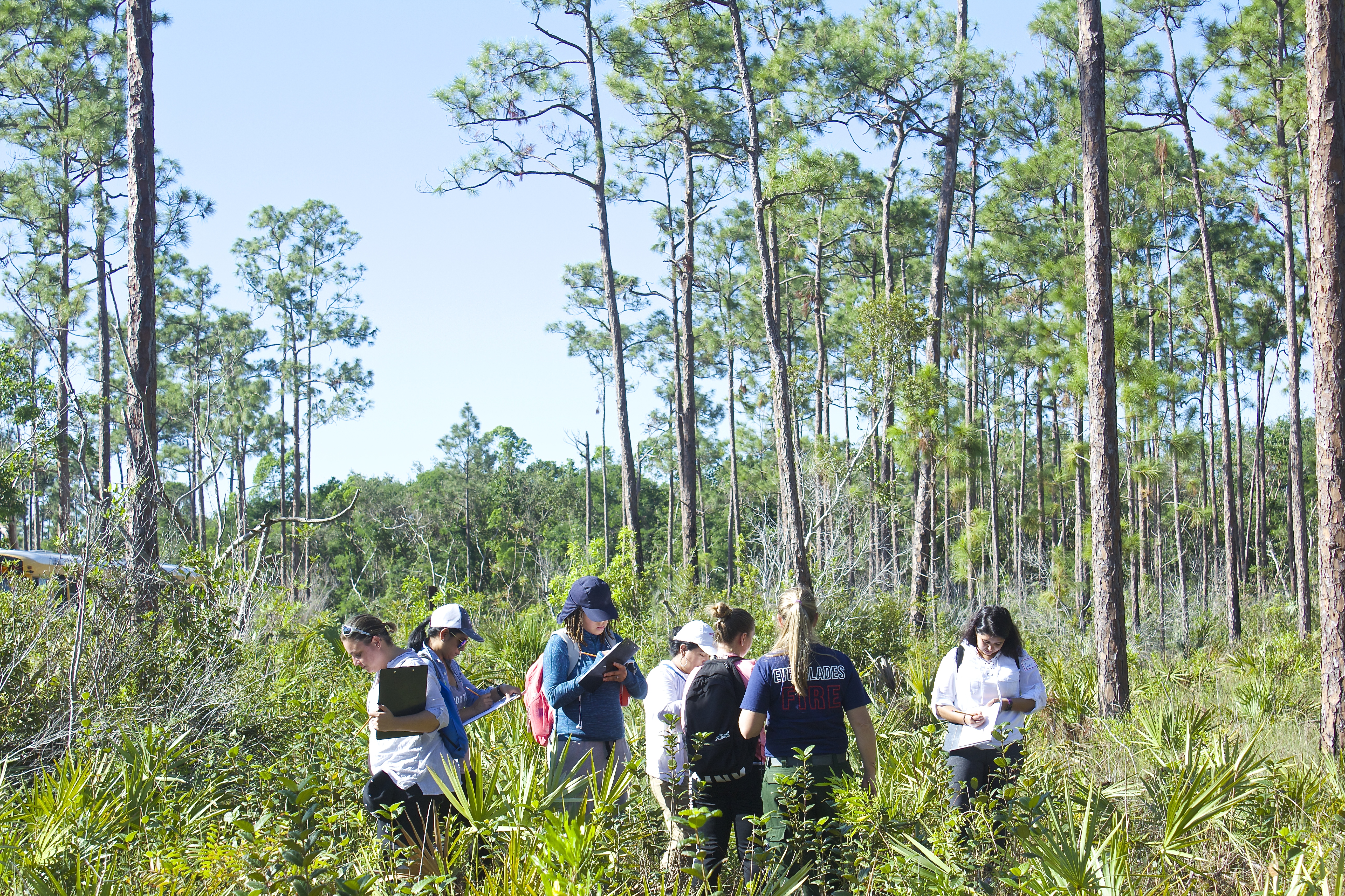 Students find evidence of past fire in Pine Rocklands