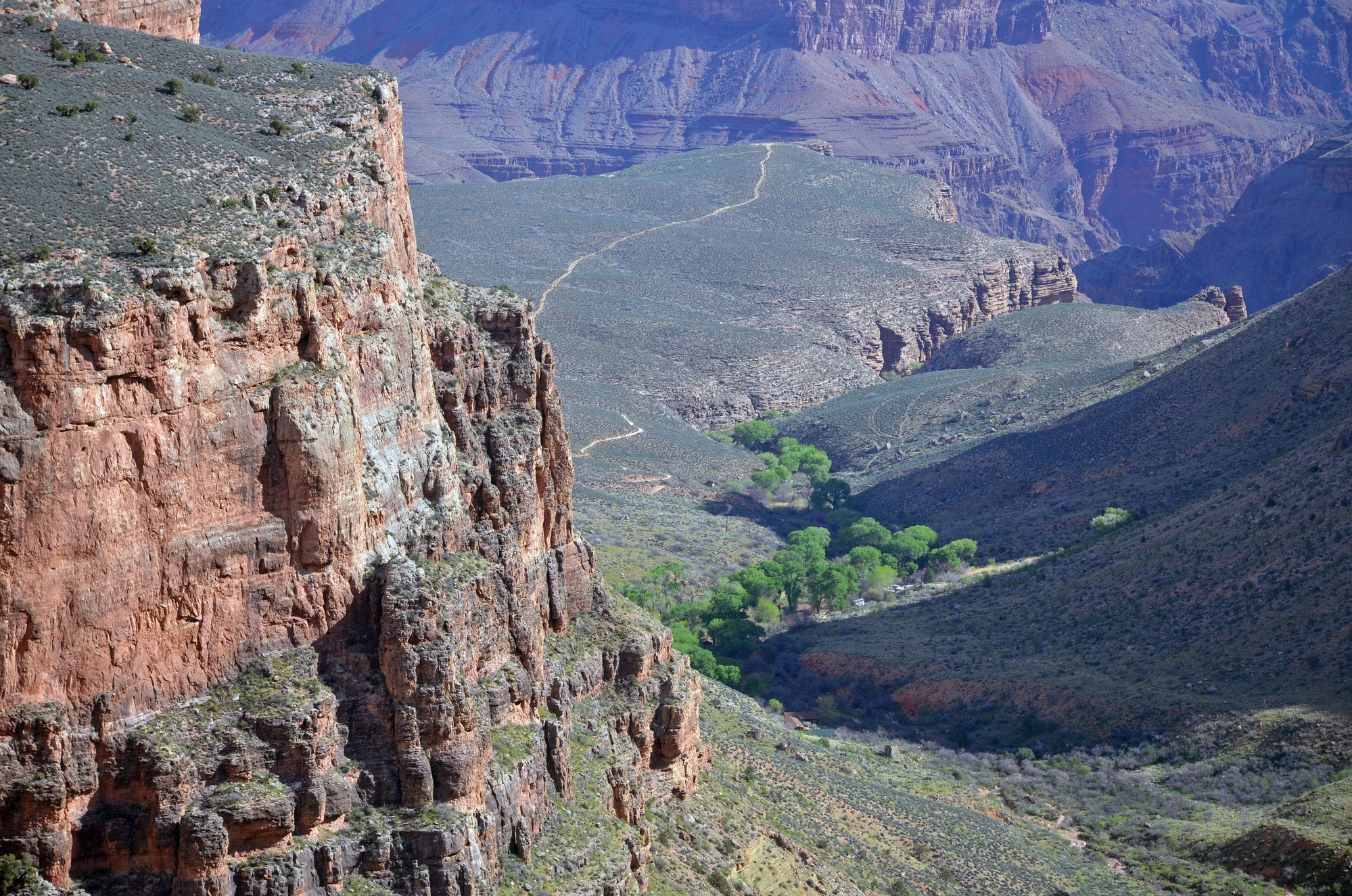 A view of the Grand Canyon overlooking grove of cottonwood trees known as Havasupai Gardens