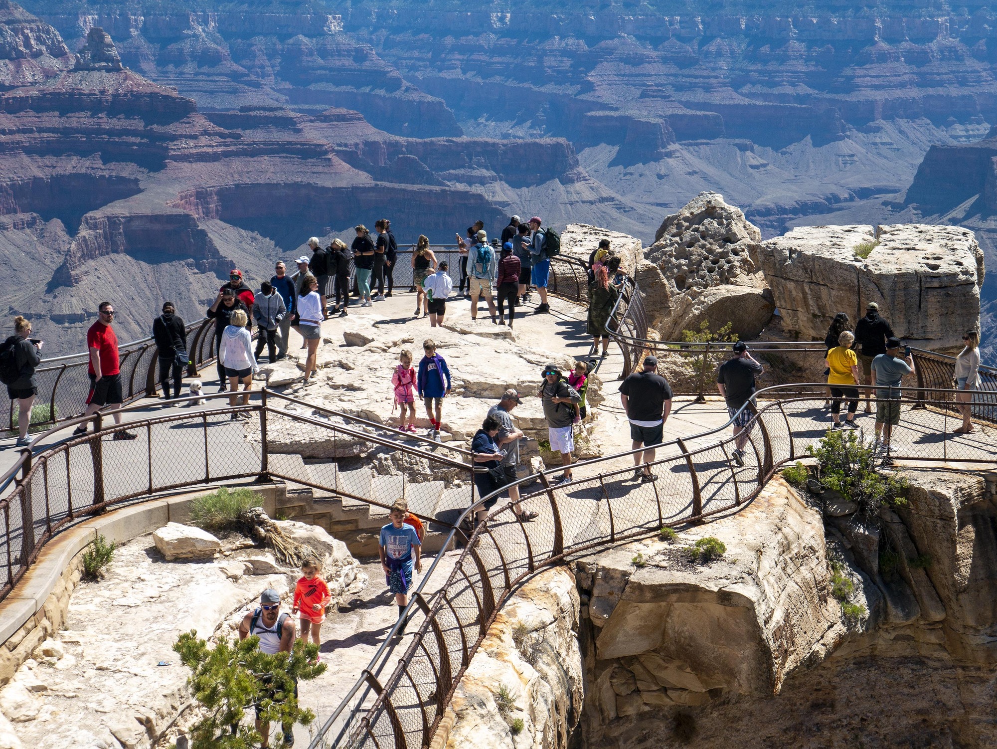 several dozen people behind metal guardrails at a scenic viewpoint overlooking colorful cliffs.