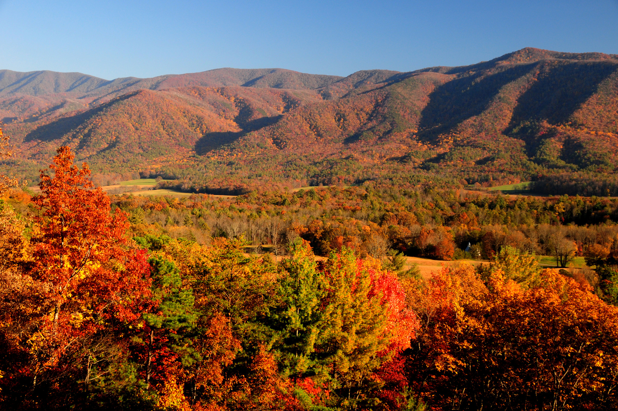 Rich Mountain Road is a one-way road which starts in Cades Cove.