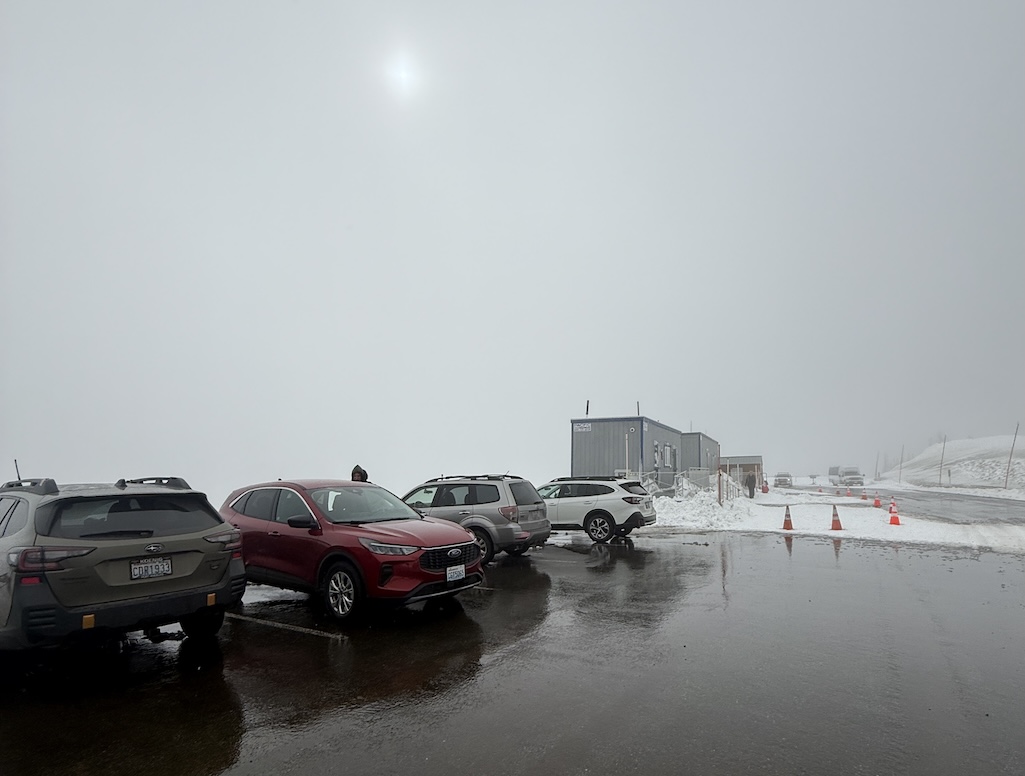 A taste of what mild winter conditions look like at Hurricane Ridge. Photo by Alex Day.