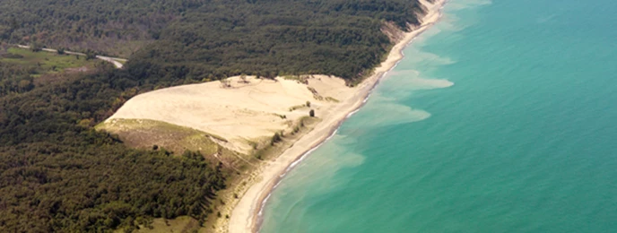 Mount Baldy Beach