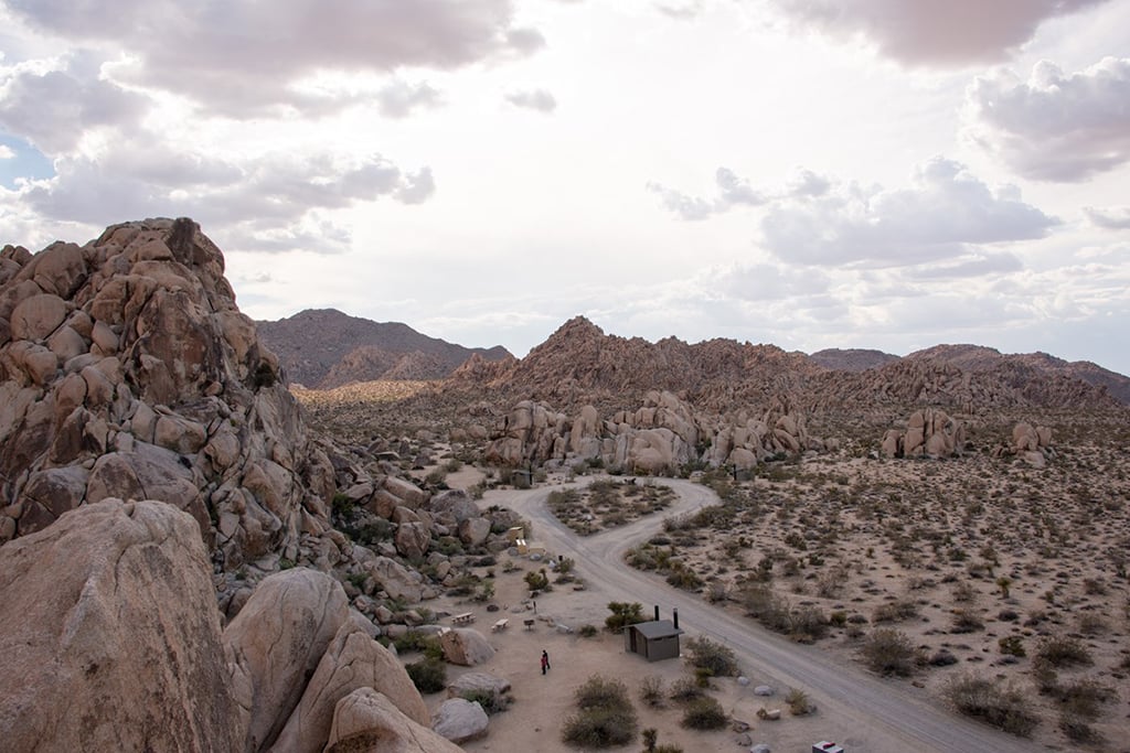 A view of a portion of Indian Cove campground, Joshua Tree National Park / NPS-Lian Law