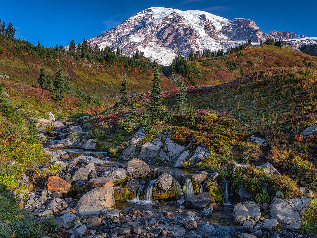 The Mountain and Edith Creek, Mount Rainier National Park / Rebecca Latson