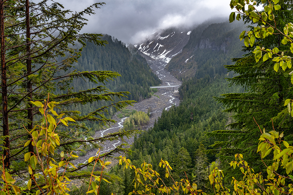 The view far below from Ricksecker Point, Mount Rainier National Park / Rebecca Latson