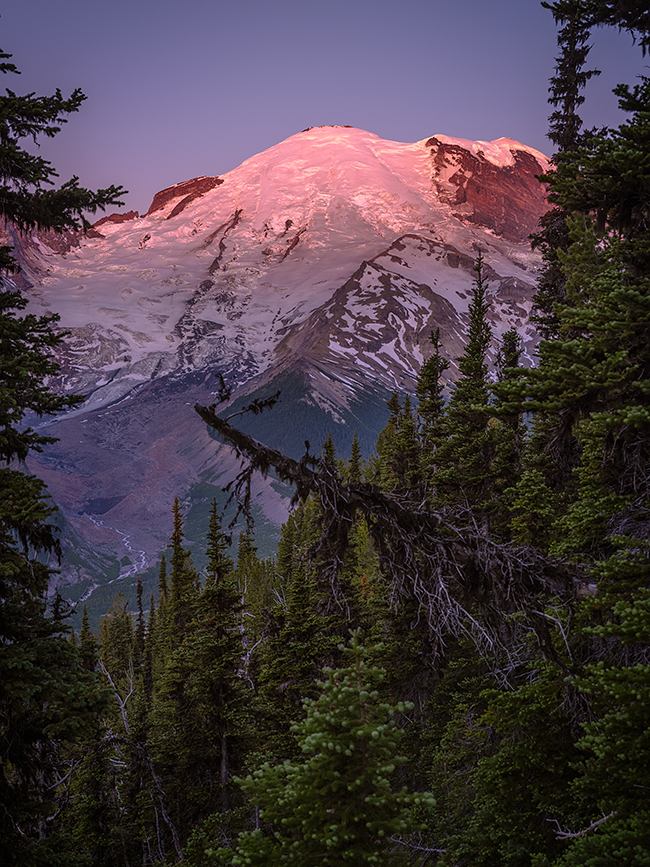 Sunrise at Emmons Vista, Mount Rainier National Park / Rebecca Latson