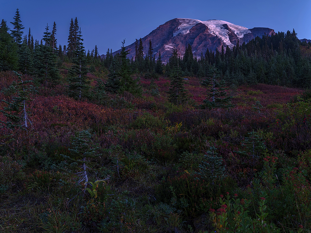 A blue hour composition while waiting for sunrise, Mount Rainier National Park / Rebecca Latson