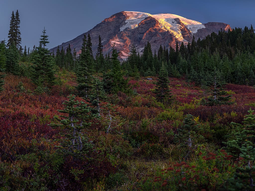 Sunrise over Paradise, Mount Rainier National Park / Rebecca Latson