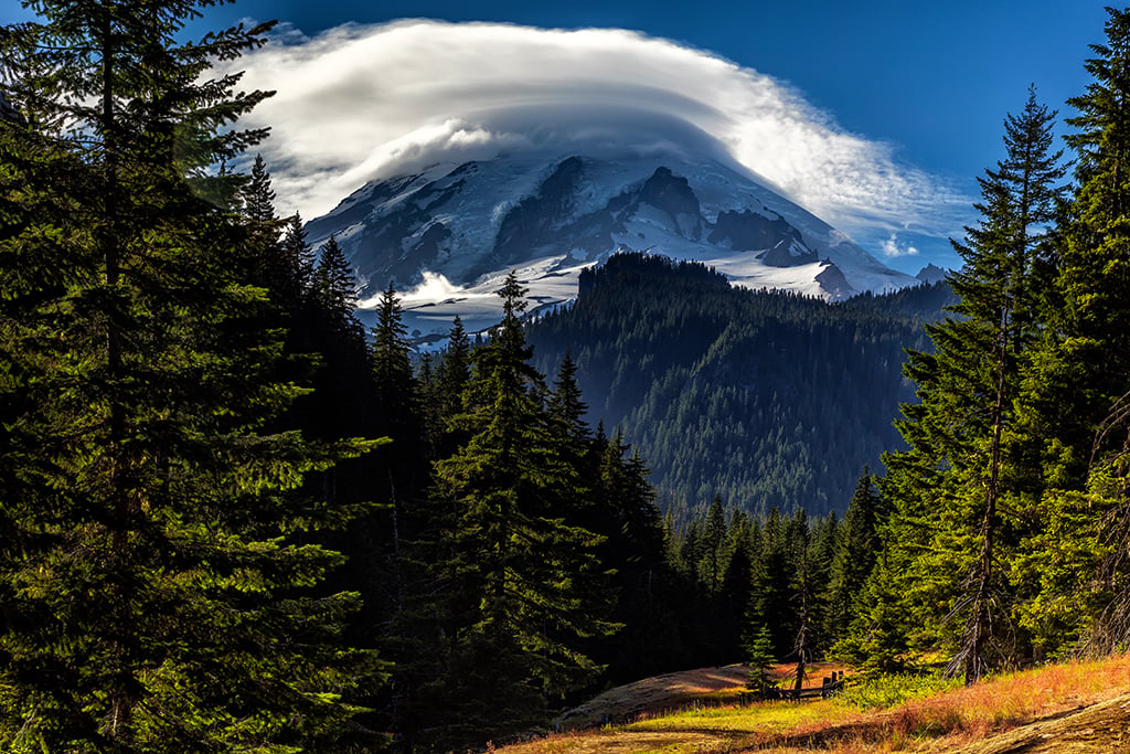 Early evening view of The Mountain along Box Canyon Trail, Mount Rainier National Park / Rebecca Latson