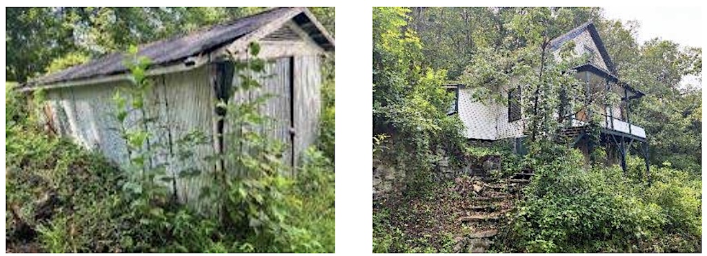The McGuffin Garage (left) and the Wedzel Young House (right) are examples of overgrown, unsafe, deteriorated historic structure