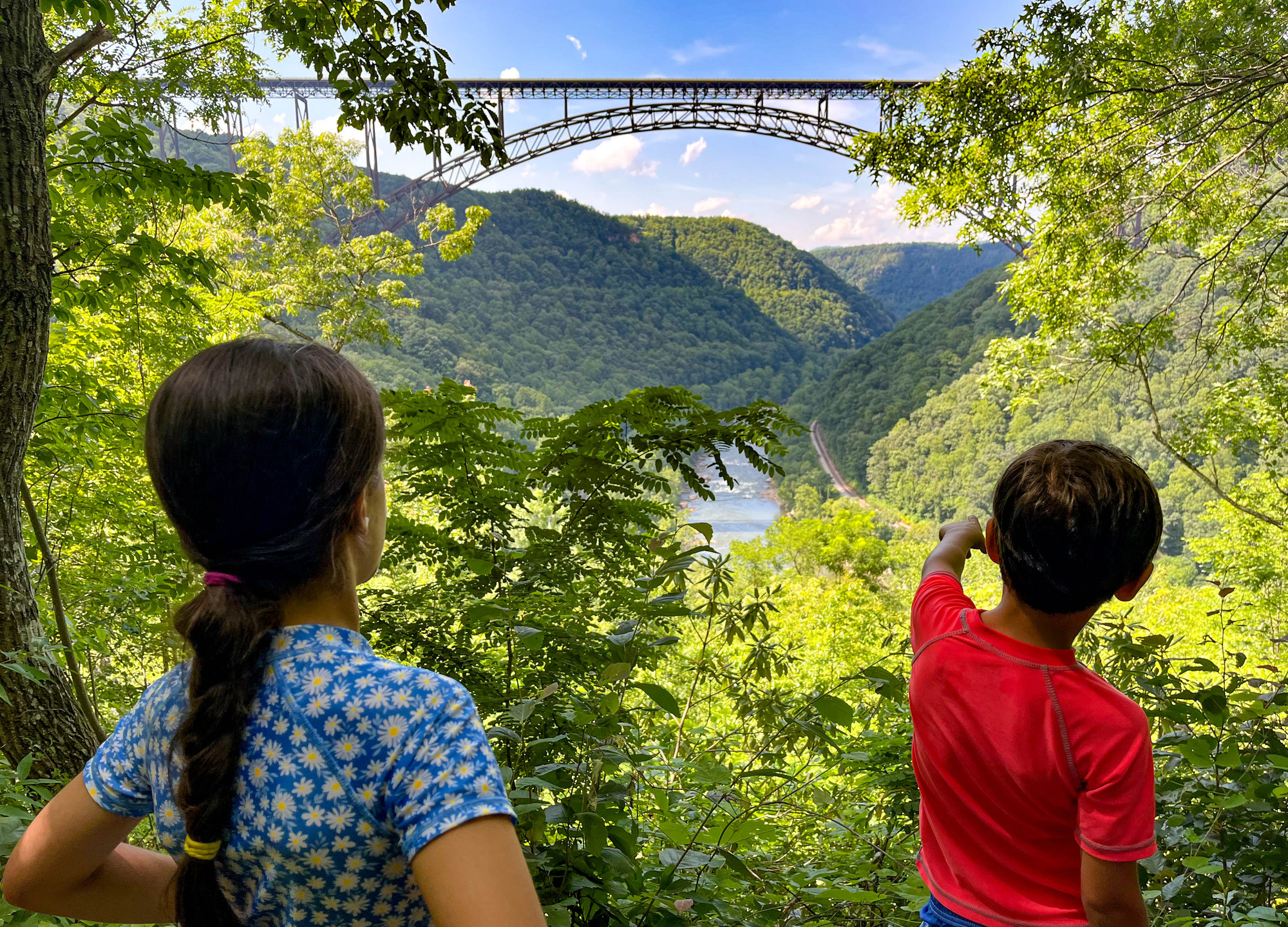 Kids looking through thick vegetation at a tall arched bridge over a river