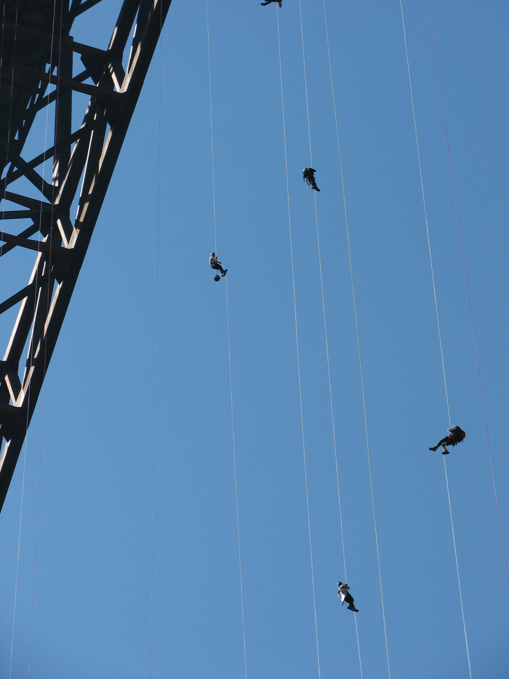 Rappelling down from the bridge, New River Gorge National Park and Preserve / Lea Perkowski-Sisk via NPS