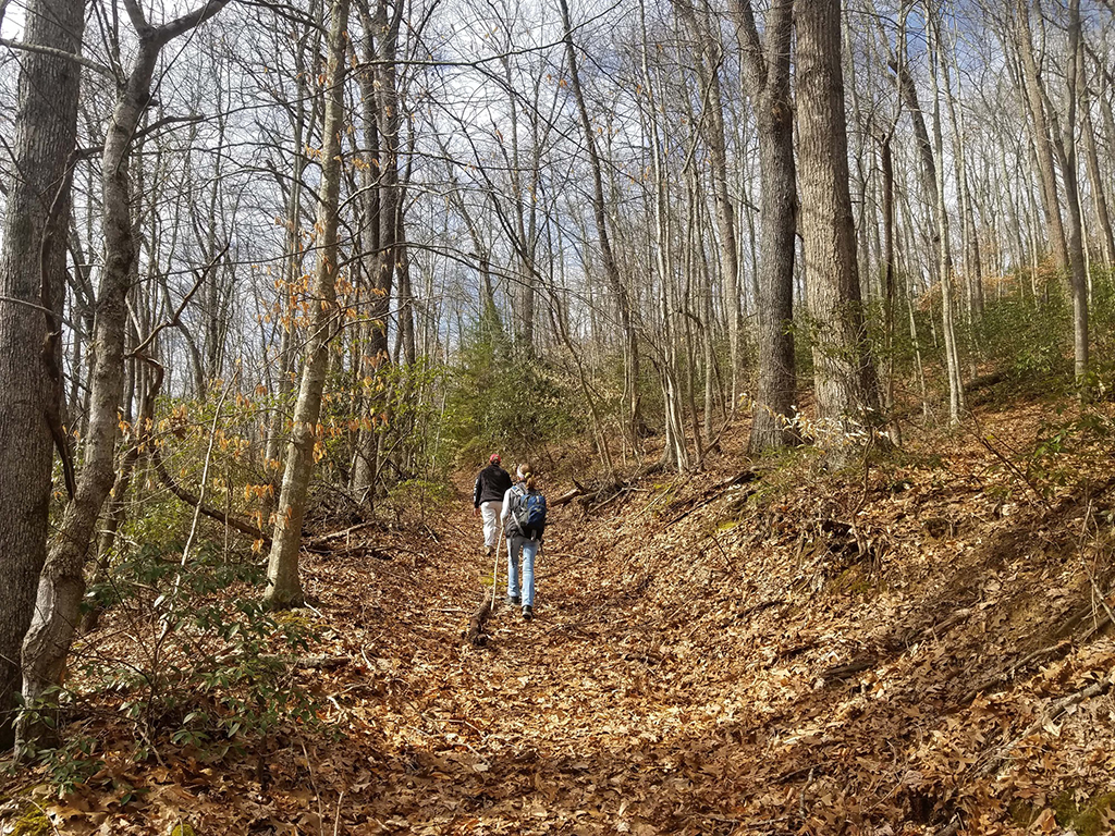 Hikers along Polls Plateau Trail, New River Gorge National Park and Preserve / NPS-Dave Bieri