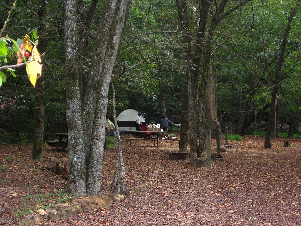 A site at Glade Creek Campground, New River Gorge National Park and Preserve / NPS-Shawn Robinson