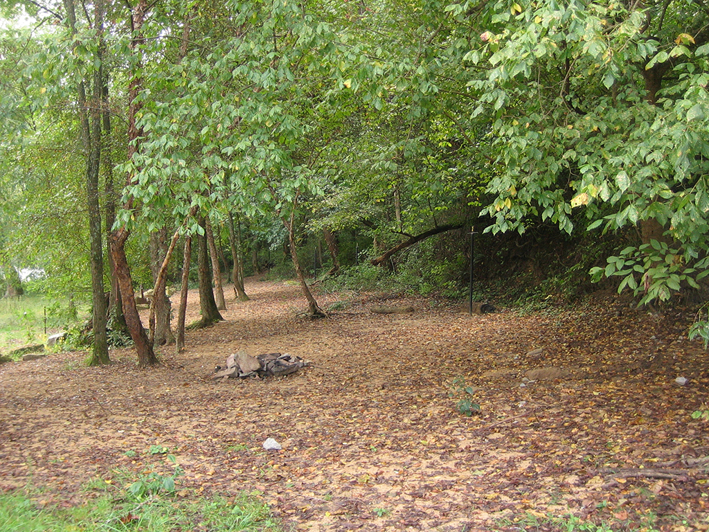 A walk-in campsite at Stonecliff Beach Campground, New River Gorge National Park and Preserve / NPS-Shawn Robinson