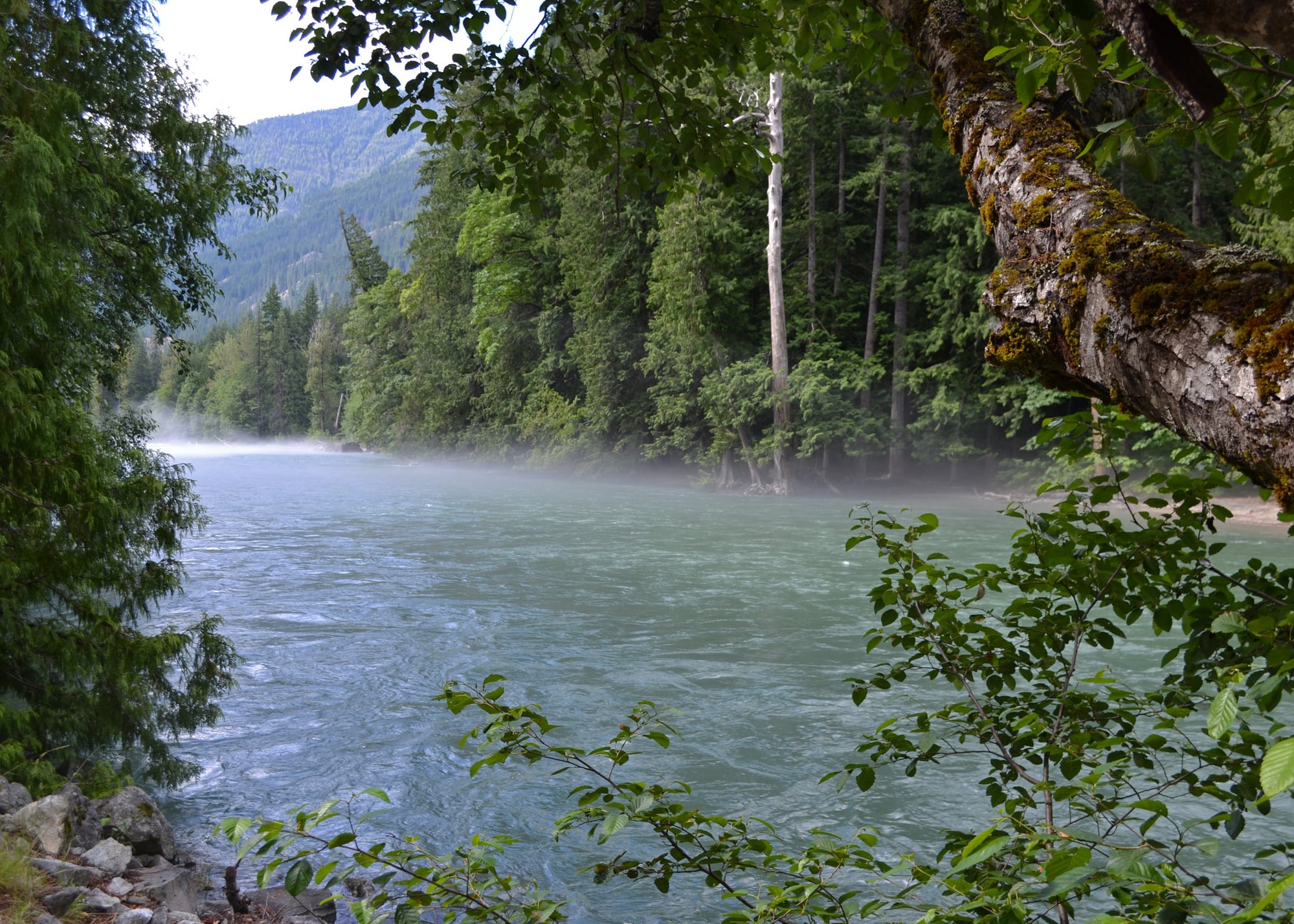 NPS To Partially Rebuild Damaged Road In North Cascades National Park