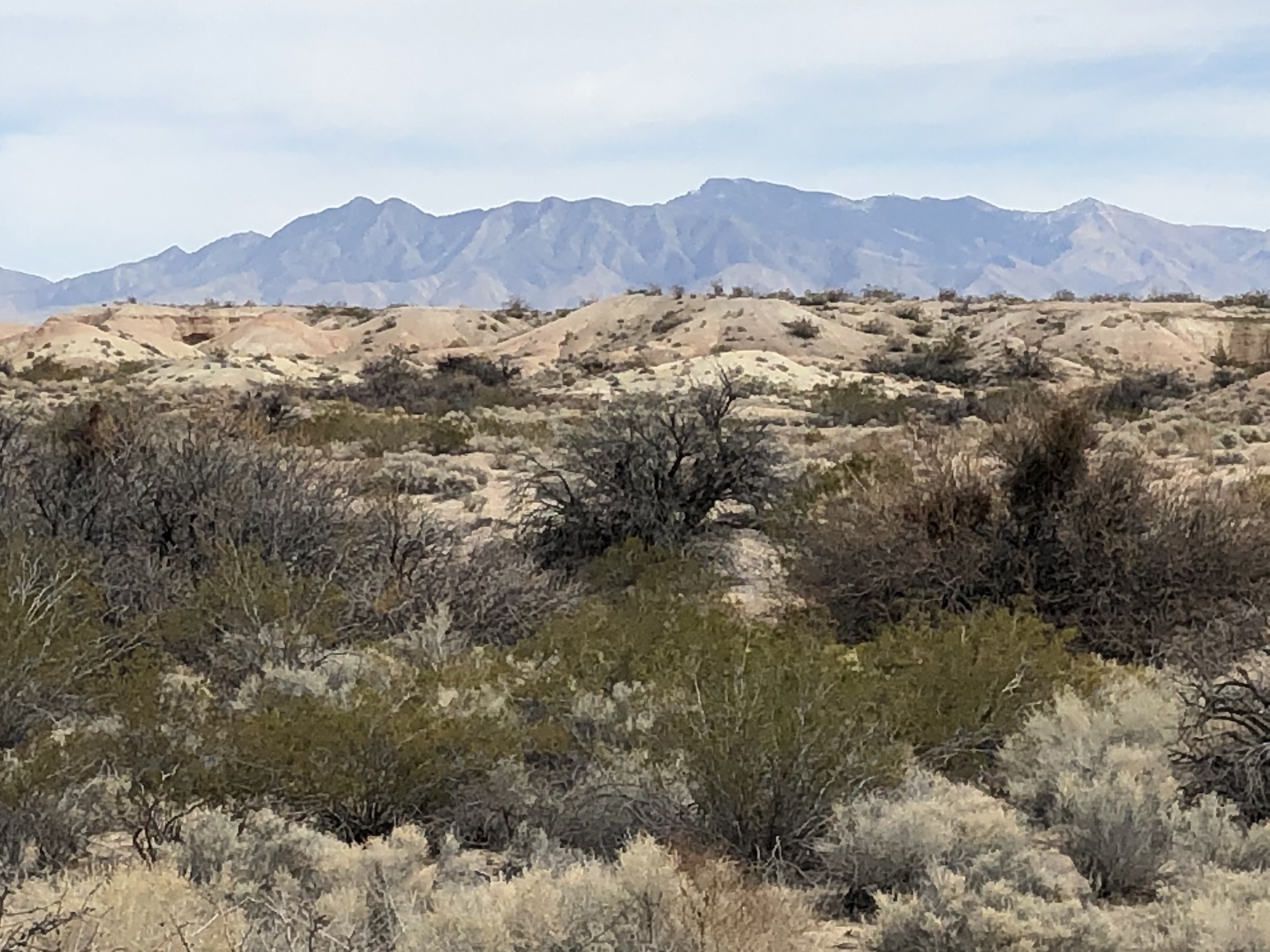 Shrubs lead to sandy hills with a horizon filled with tall desert mountains.