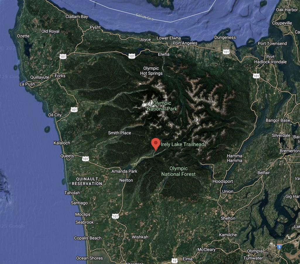 A single-engine plane crash killed one and injured two in Olympic National Park/Google Earth