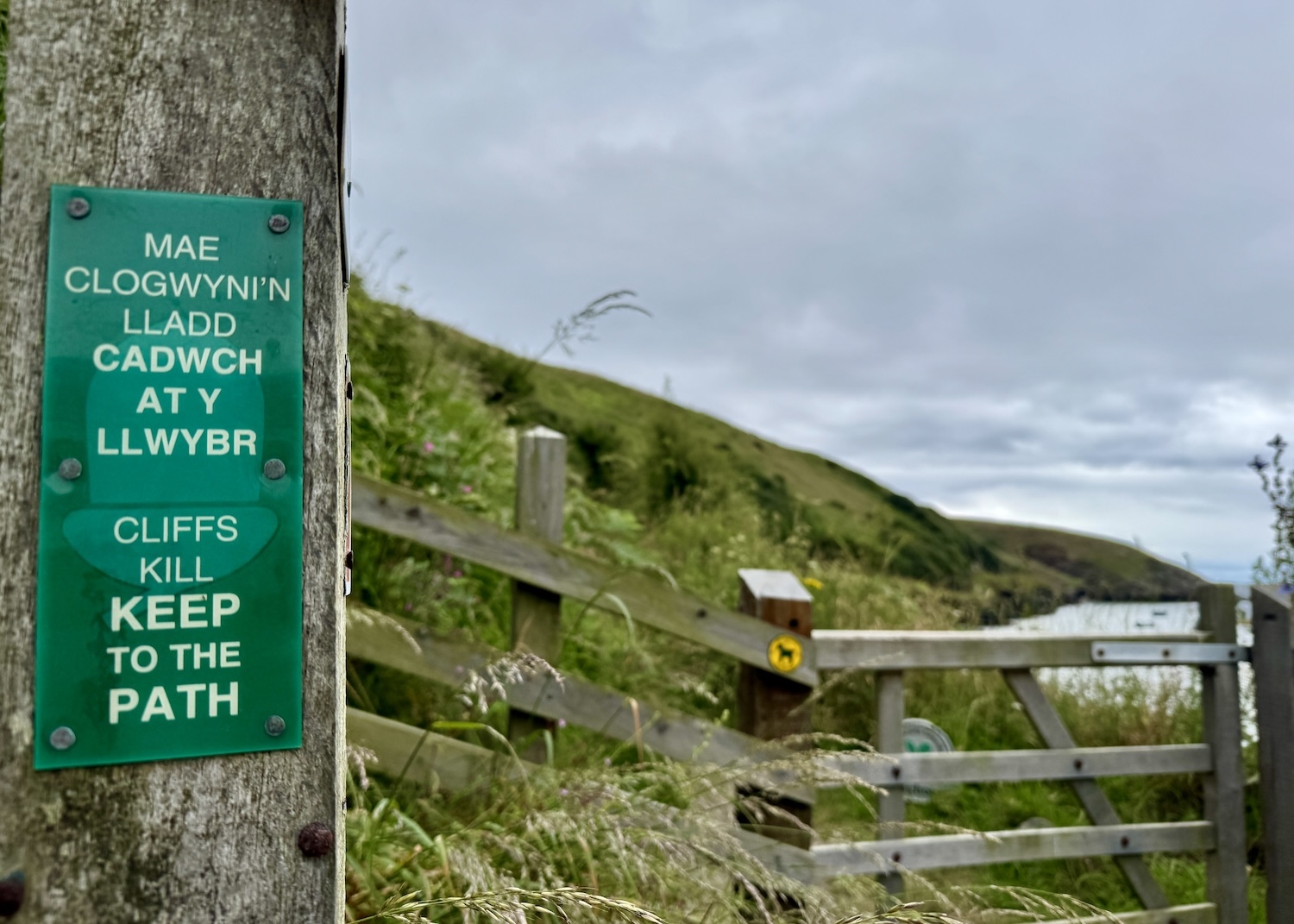 A sign says "cliffs kill, keep to the path."