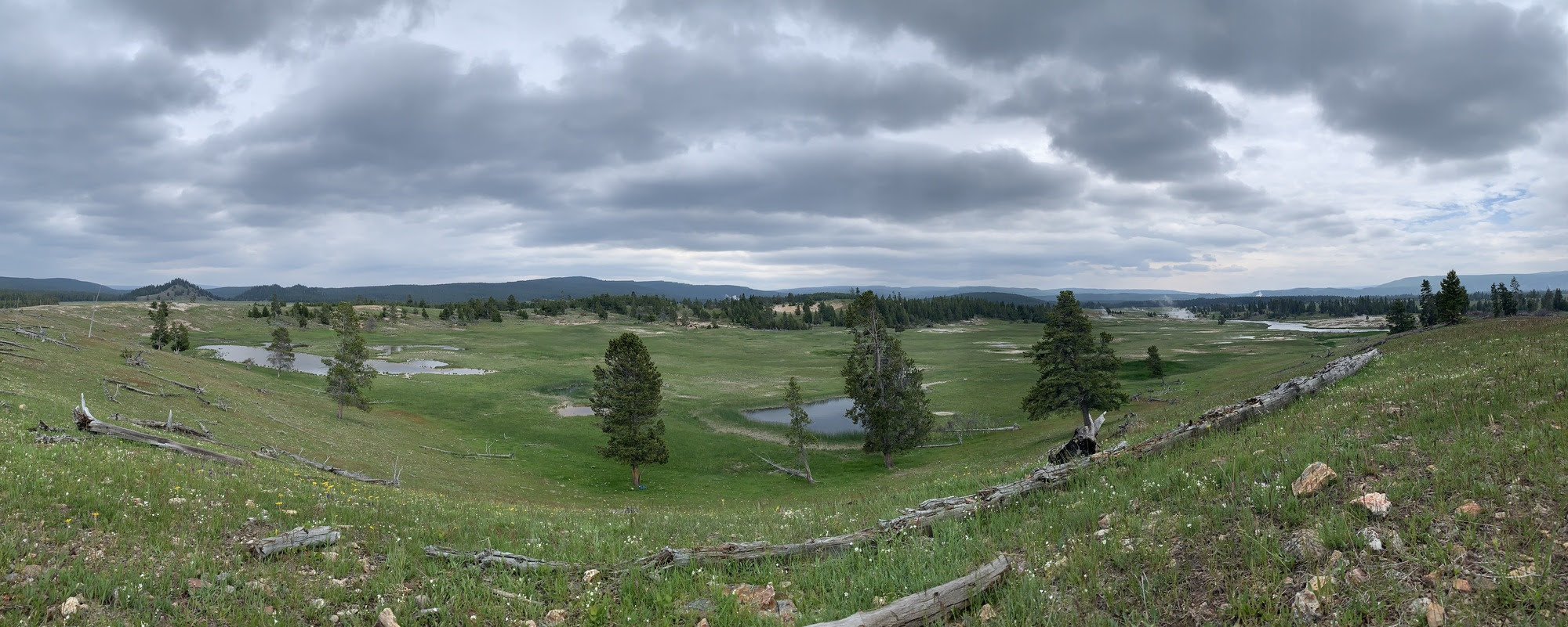 Panoramic view of the Pocket Basin hydrothermal explosion crater located in Lower Geyser Basin, Yellowstone National Park.