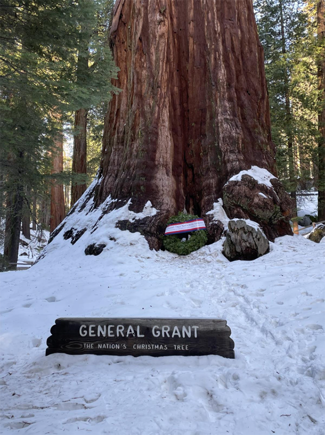 The General Grant Tree, Kings Canyon National Park / NPS file