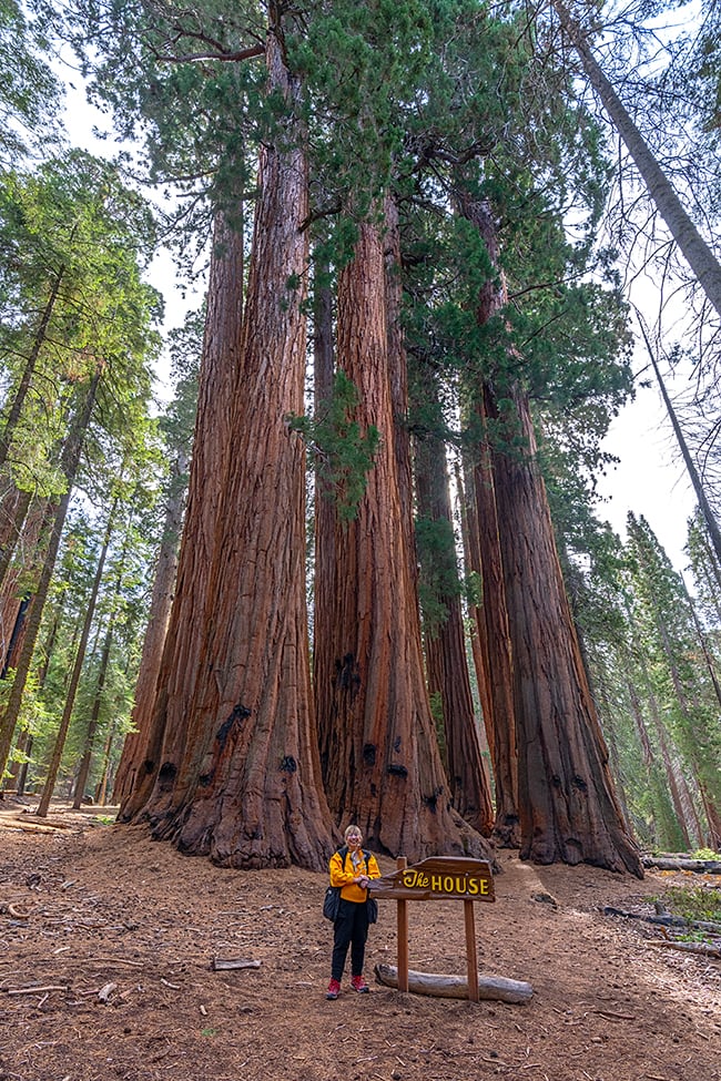The author and The House, Congress Trail, Sequoia National Park / Rebecca Latson