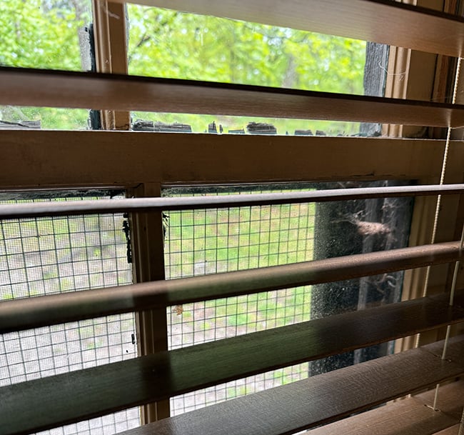 Another window example in my Lewis Mountain Cabin, Shenandoah National Park / Rebecca Latson