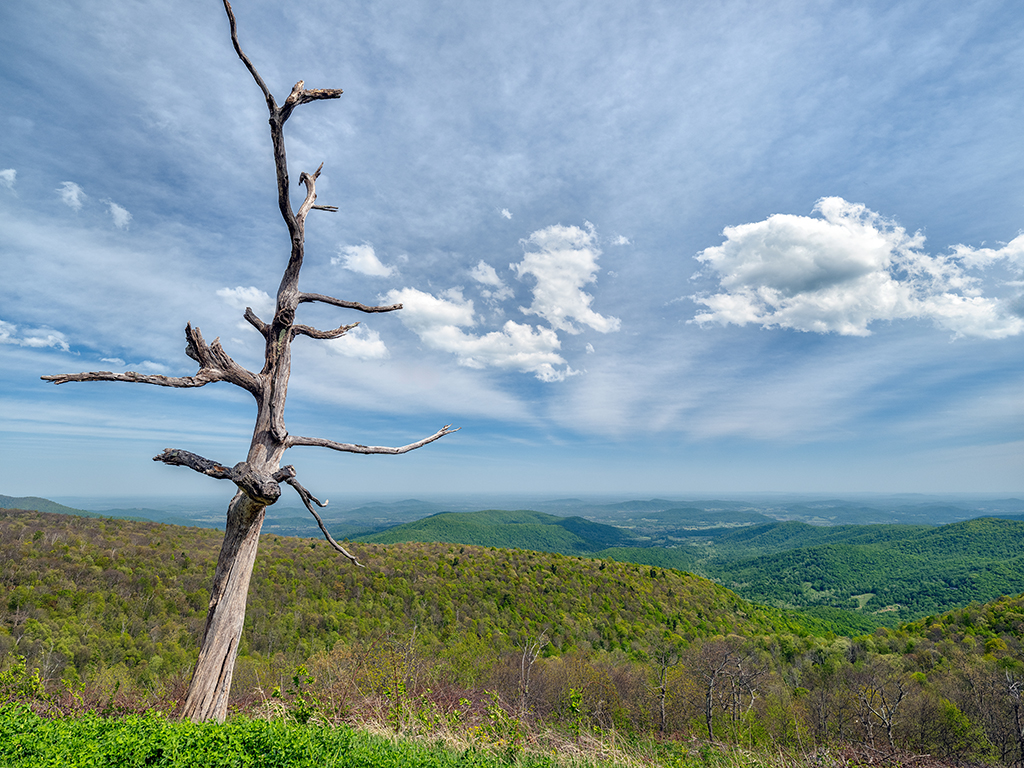 The views are gorgeous along Skyline Drive in Shenandoah National Park / Rebecca Latson