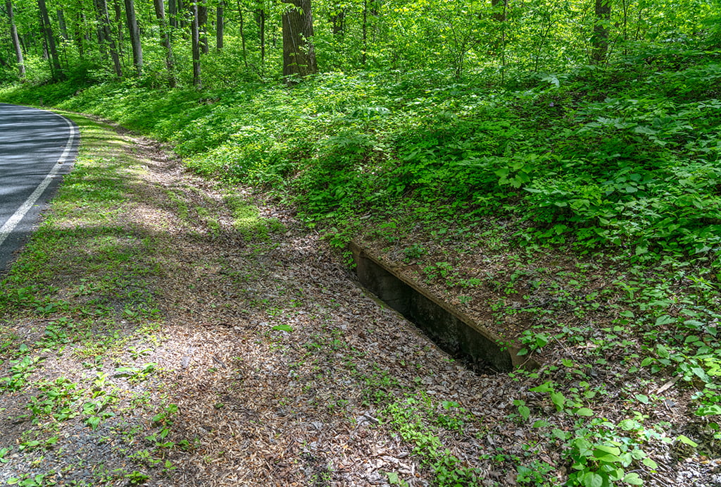 A drop inlet along Skyline Drive, Shenandoah National Park / Rebecca Latson