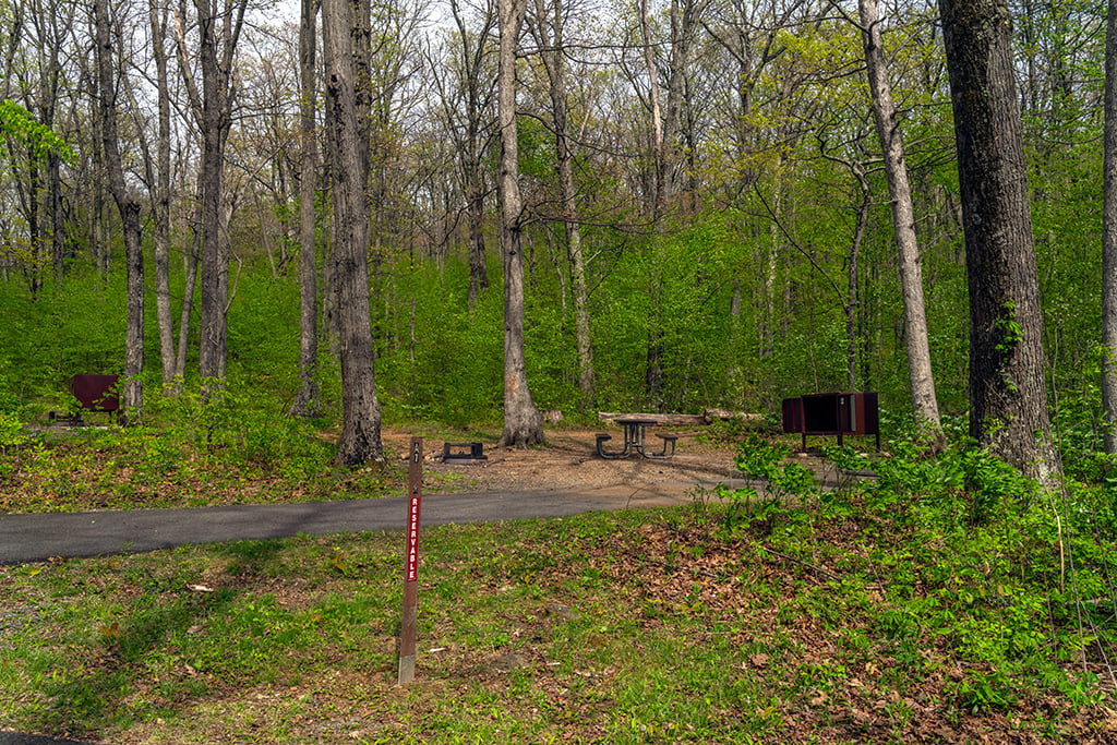 Mathews Arm campsite, Shenandoah National Park / Rebecca Latson
