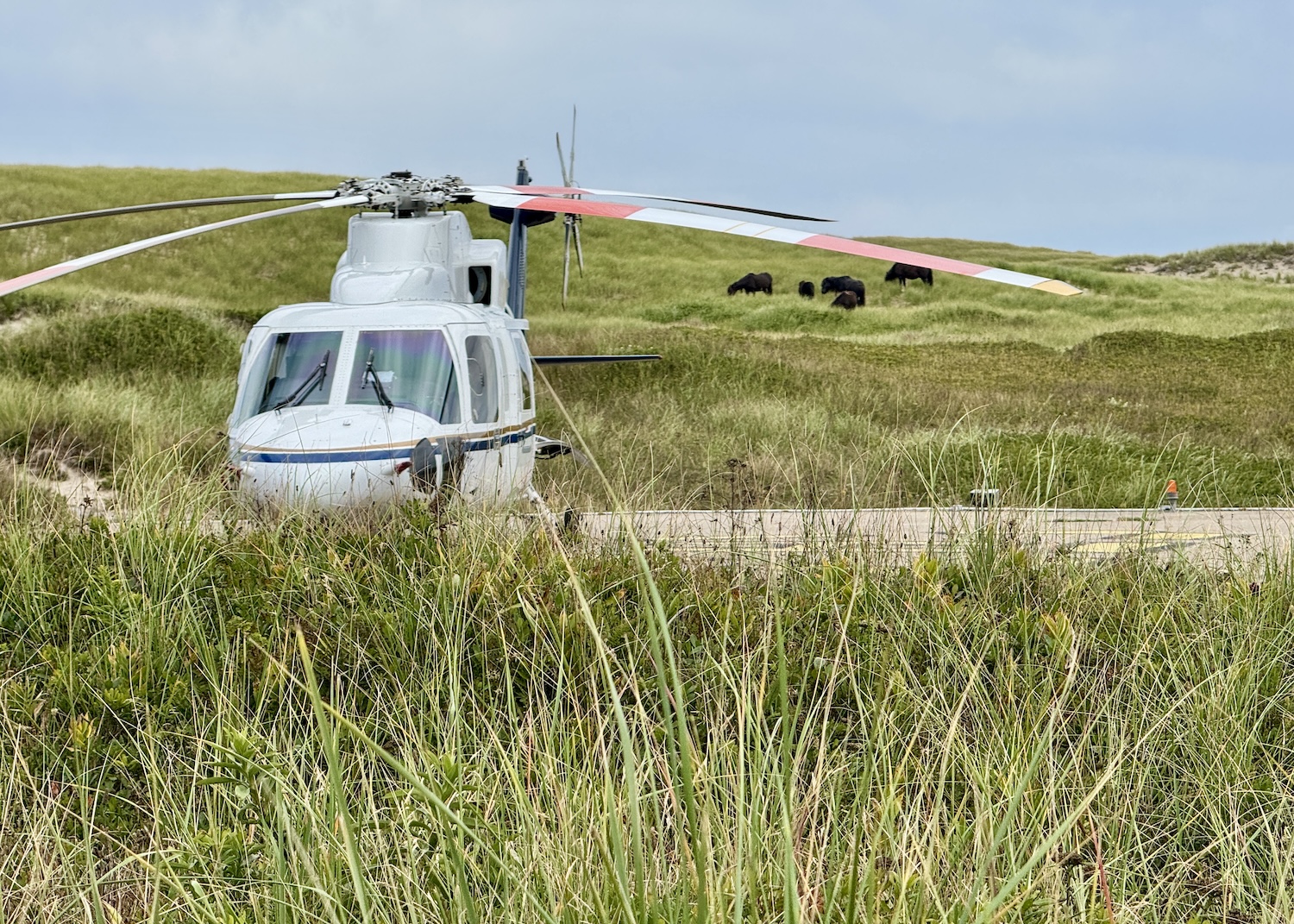 A helicopter sits on a Sable Island helipad.
