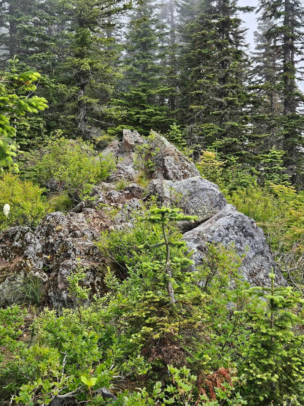 A basalt of Sister Rocks dike (a subsurface magmatic structure) cutting across a scoria deposit from a previous eruption of Sist