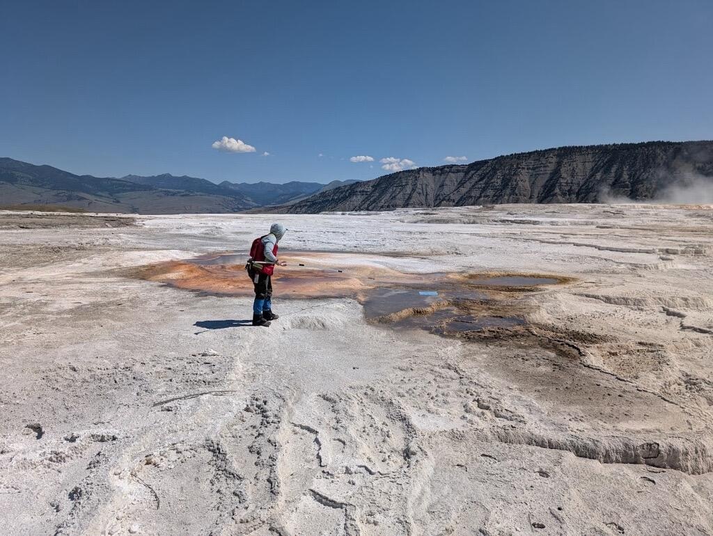 Yellowstone National Park Geology Program team member Mara Reed uses a long grabber pole to remove a park map, presumably blown