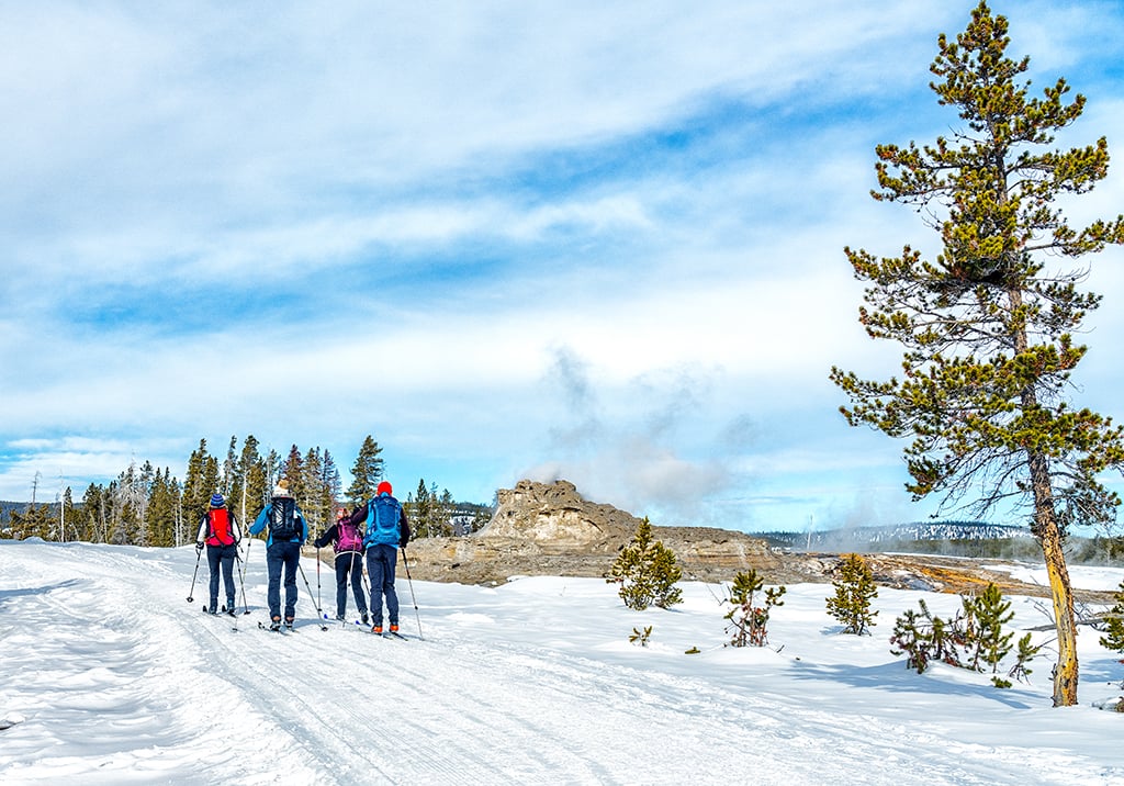 Cross-country skiiers gliding past Castle Geyser, Yellowstone National Park / Rebecca Latson